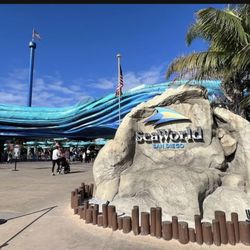 Seaworld ticket