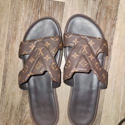 10.5  LV Oasis Mule