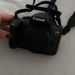 Canon Rebel T7 + 50mm Lens & 18-55m mi Kit Lens