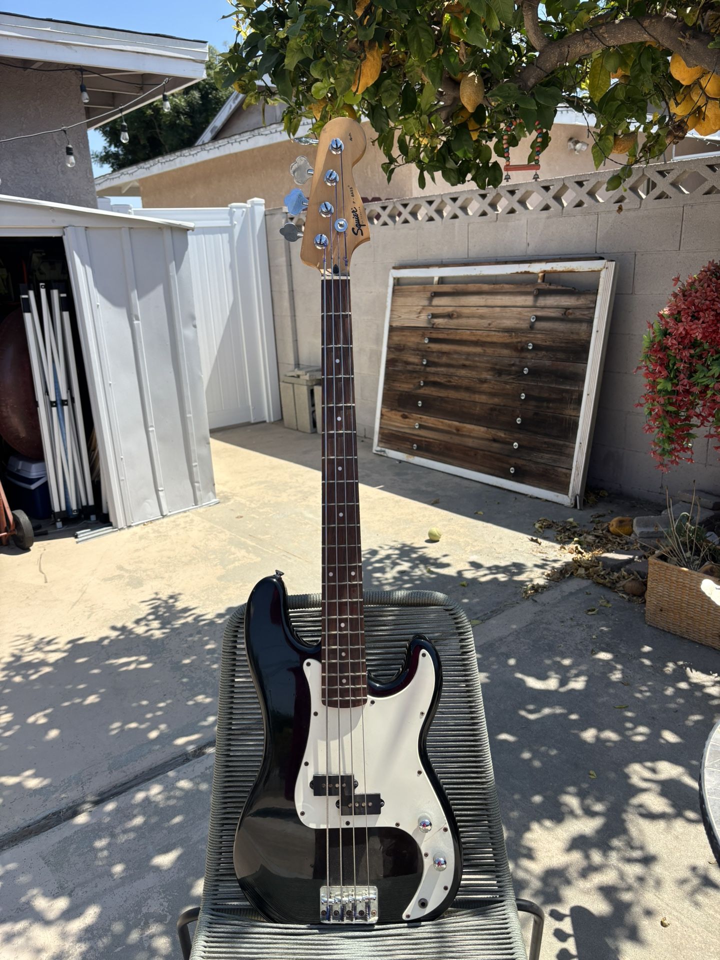 Guitar