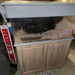 Fish Tank