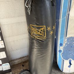 Punshing Bag 