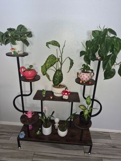 Plant stand