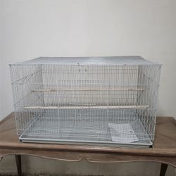 Bird Cage