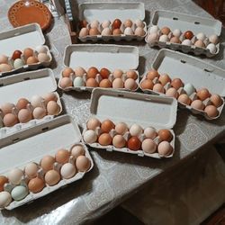 Fresh Farm Eggs/ Frescos Huevos