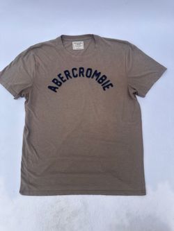 Abercrombie & Fitch Arch Logo Tee - Mens L, Taupe Gray
