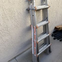 Little Giant Model 10102 1A Original Ladder