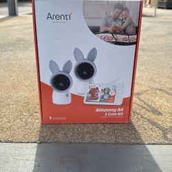 Arenti Cameras 