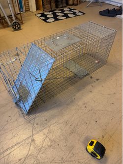 Animal trap cage
