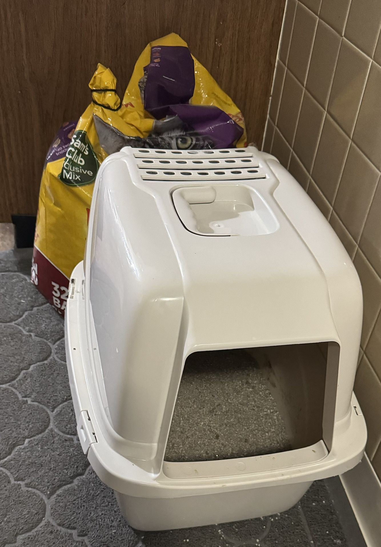Like New 1 litter box with scoop $20
