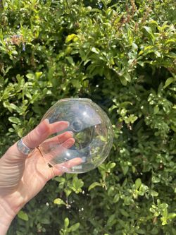 Glass wall planters