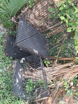 Cage