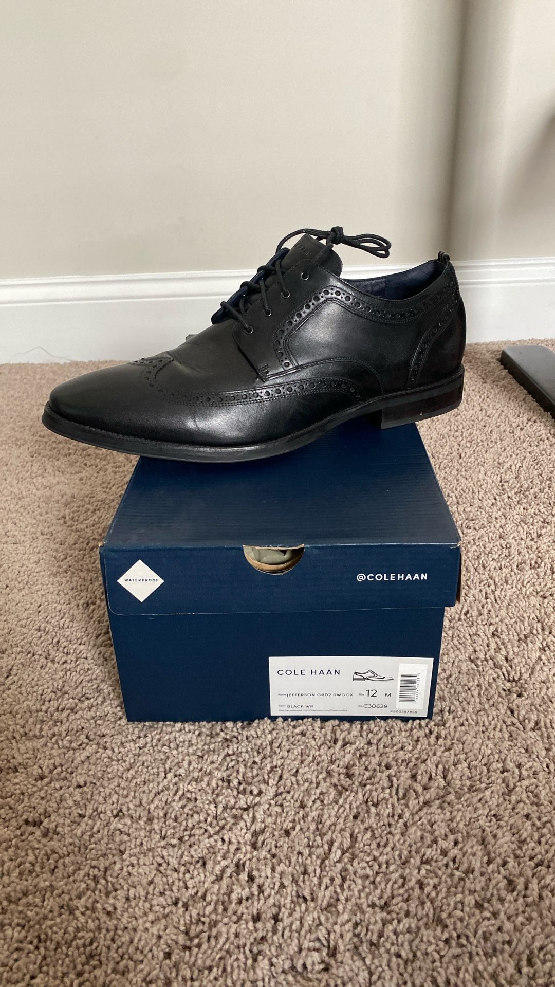 Cole Haan Wingtip