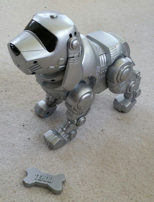 Tekno, the robot dog