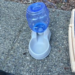 Pet Water Dispenser Cat Or Small Dog