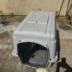 Dog Kennel