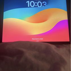 ipad 5th mini