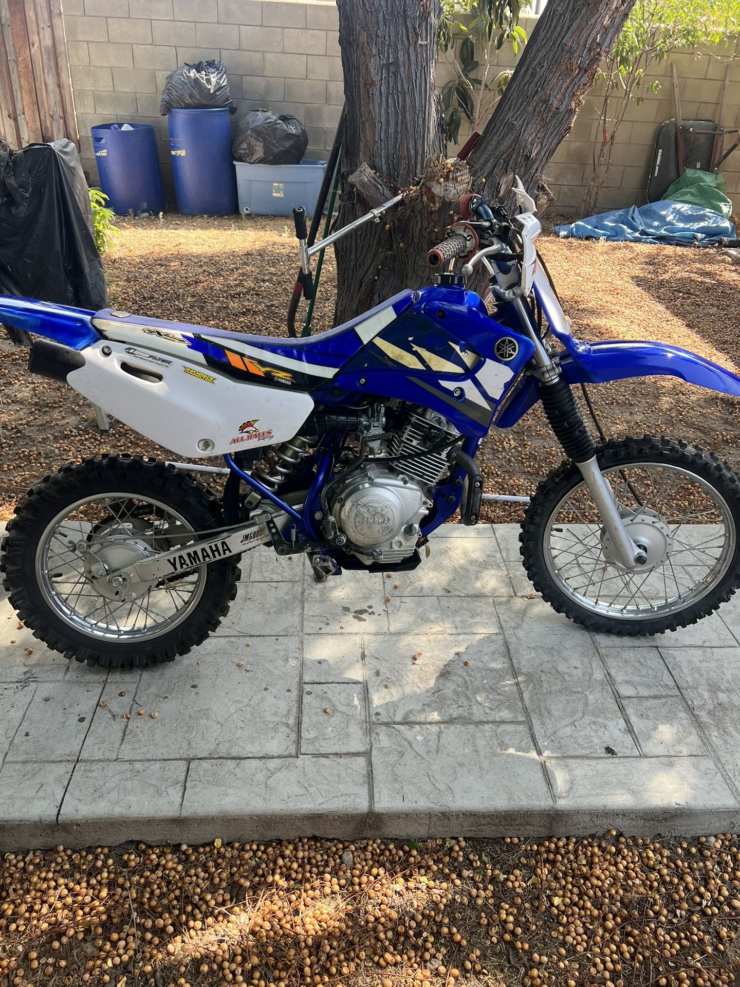2003 Yamaha TTR-125