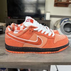 Dunk Lobster Orange