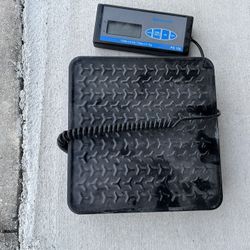 Brecknell Scale