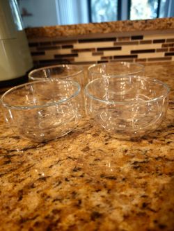Clear Double-Wall Glass Bowls Set of 4