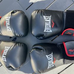 Everlast boxing bag and stand 100lbs, and And two pairs of boxing gloves.