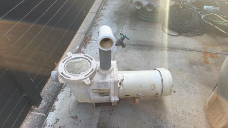 Pool / spa pump