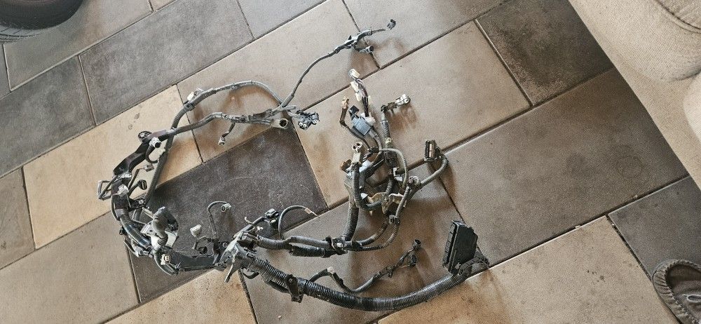 Harness
