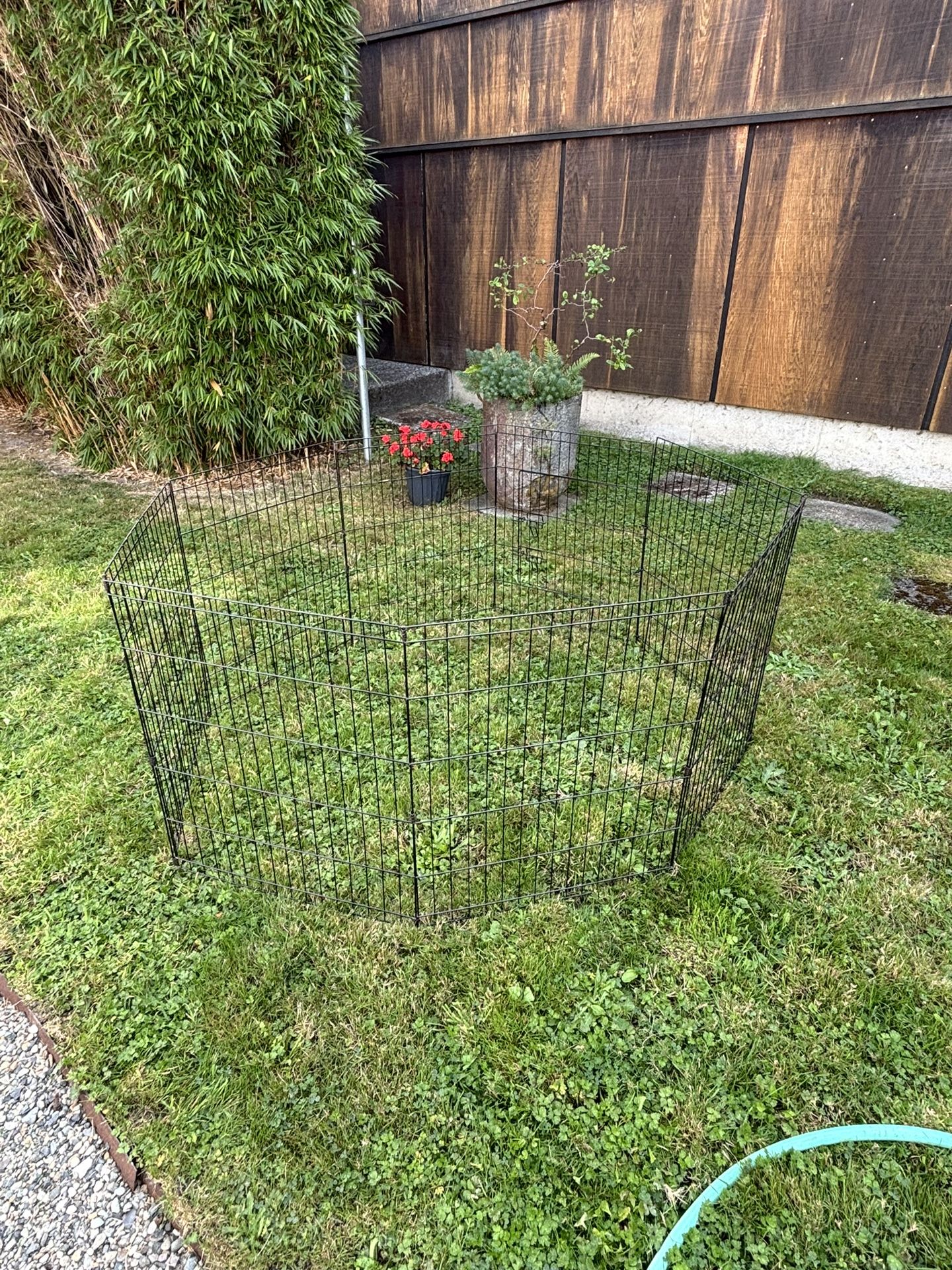 Animal Pen