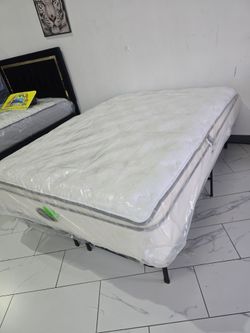 Queen Sizes Mattress Set