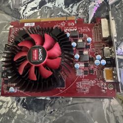 amd gpu