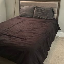 Queen Sized Bed 