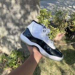 Concords Jordan 11s 