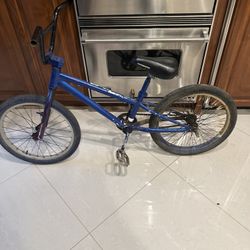 Trex 20 In BMX Bike No Brakes. 