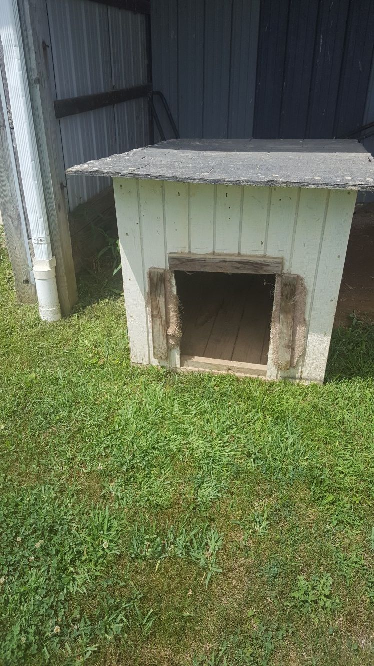 Dog house