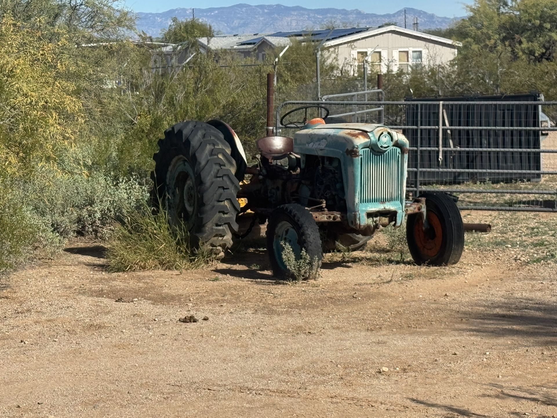 vintage Ford 8N tractor (part of the Ford N-Series)