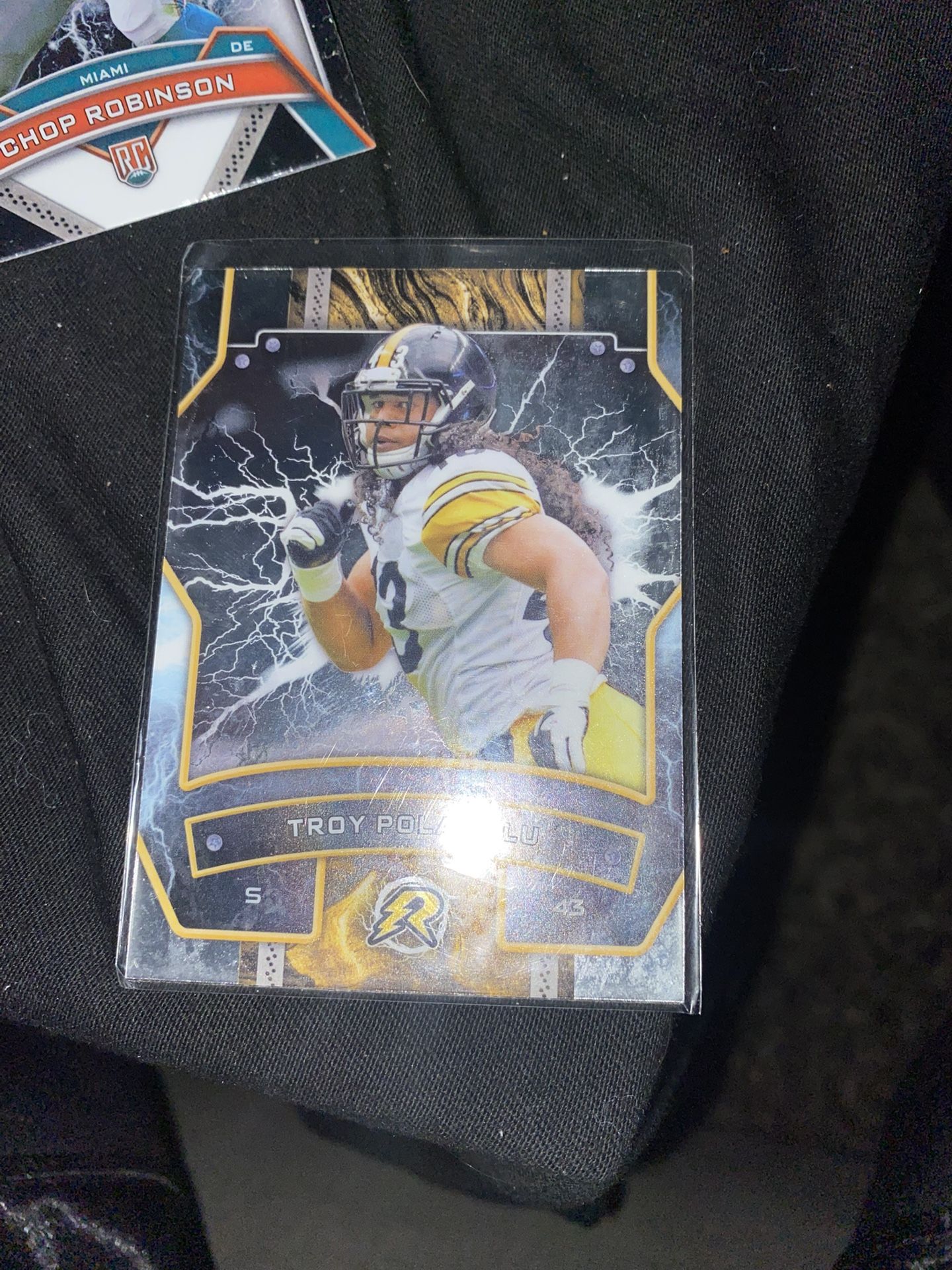 Troy Polamalu
