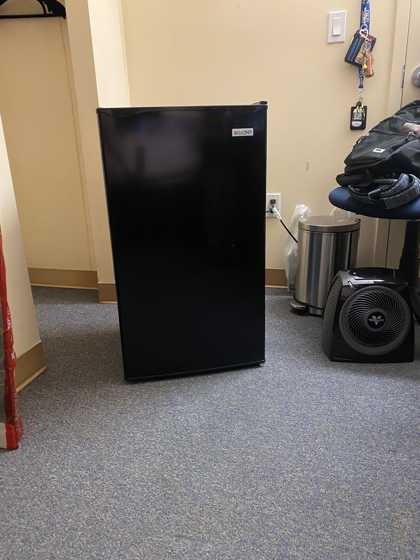 Igloo Mini fridge