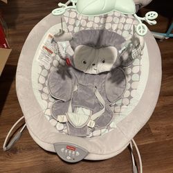 Bouncer and Swing Set