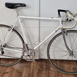 Bottecchia 58cm Campagnolo Groupset Road Bike....