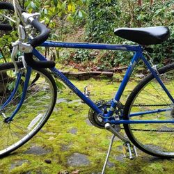 Panasonic Sport 500 10 Speed Bike Vintage