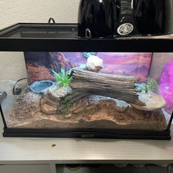 Reptile tank