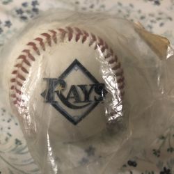 Tampa Bay Rays Baseball Rawlings