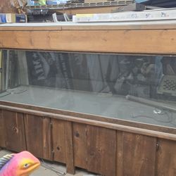 Two Hundred Gallon Glass Fish Tank 