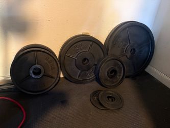 Olympic Weight Plate Set
