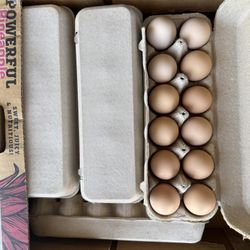 FRESH NATURAL RANCH EGGS 