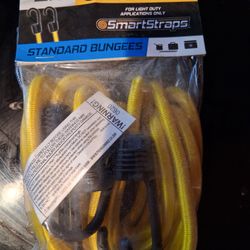 Bungee Cord