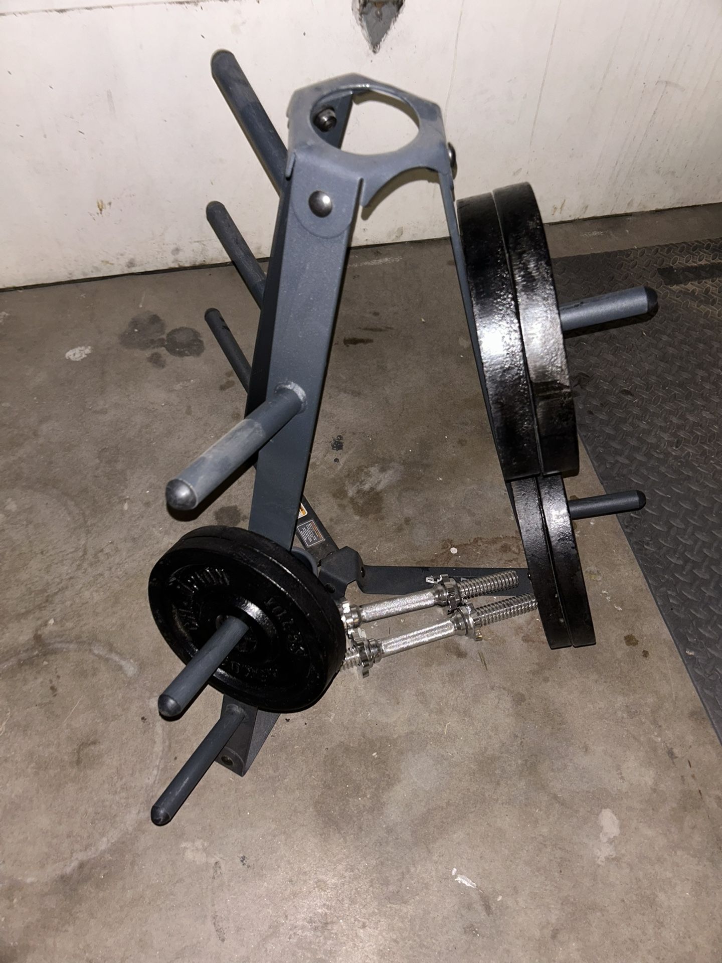 Weight Plate Tree With Plates