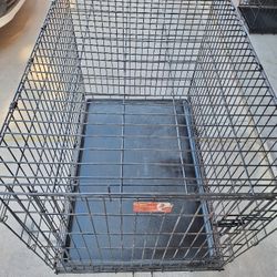XL Dog Cage 42x28x31 