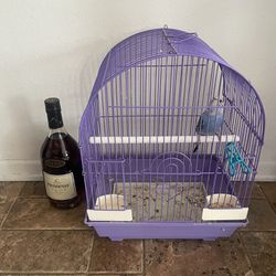 Bird Cage Half English
